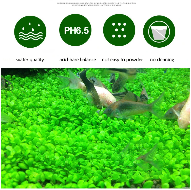 Fish Tank Water Grass Mud Plan - đánh giá và giá Marine Aquarium Gravel