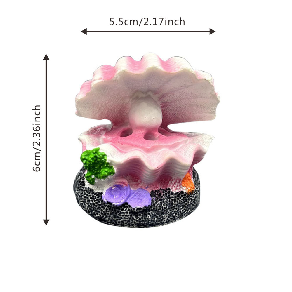 Cute Shell Shape Bubble Stone  - đánh giá và giá Aquarium Innovative Marine