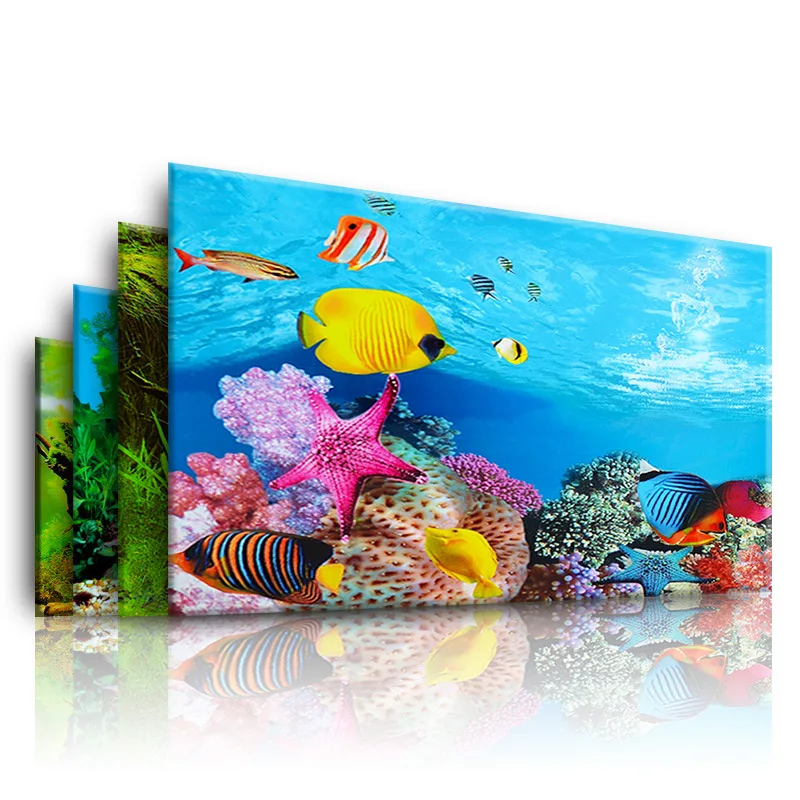 Background for Aquarium 3d  St - đánh giá và giá Aquarium Innovative Marine
