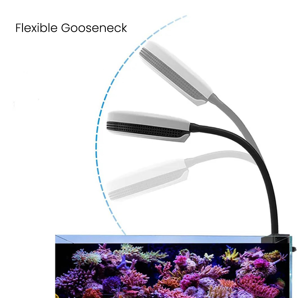 Spectra SP20 110-240V 20W Fres - đánh giá và giá Aquarium Marine Fishes