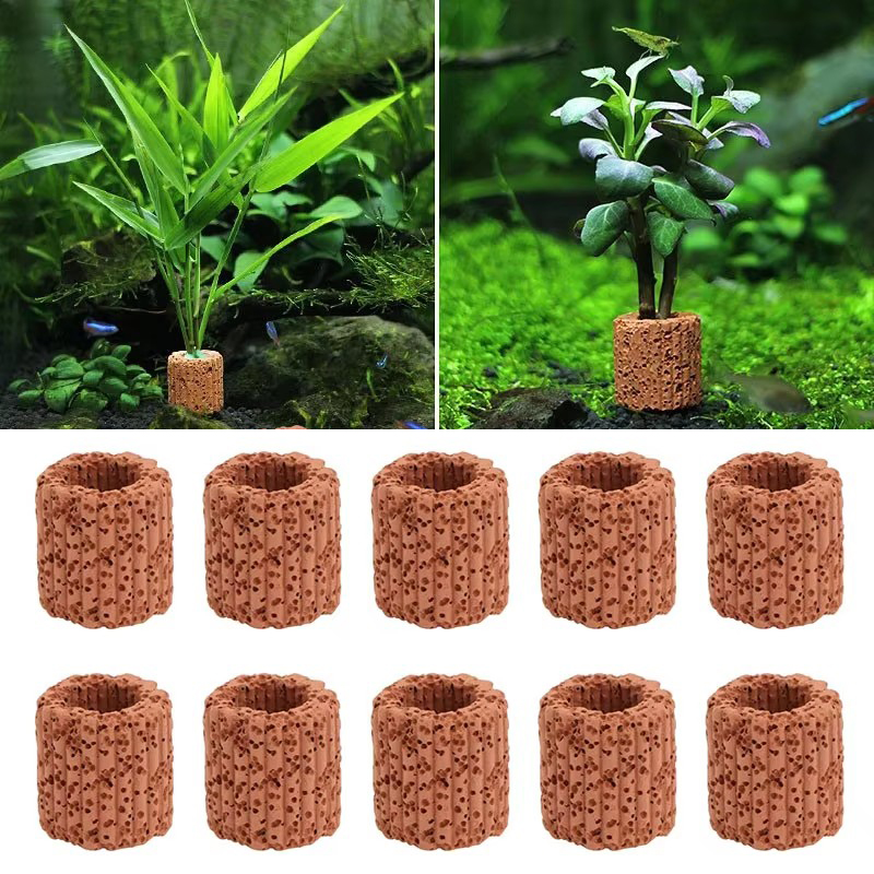 Aquatic Plant Fixed Ring for A - đánh giá và giá Aquarium Innovative Marine