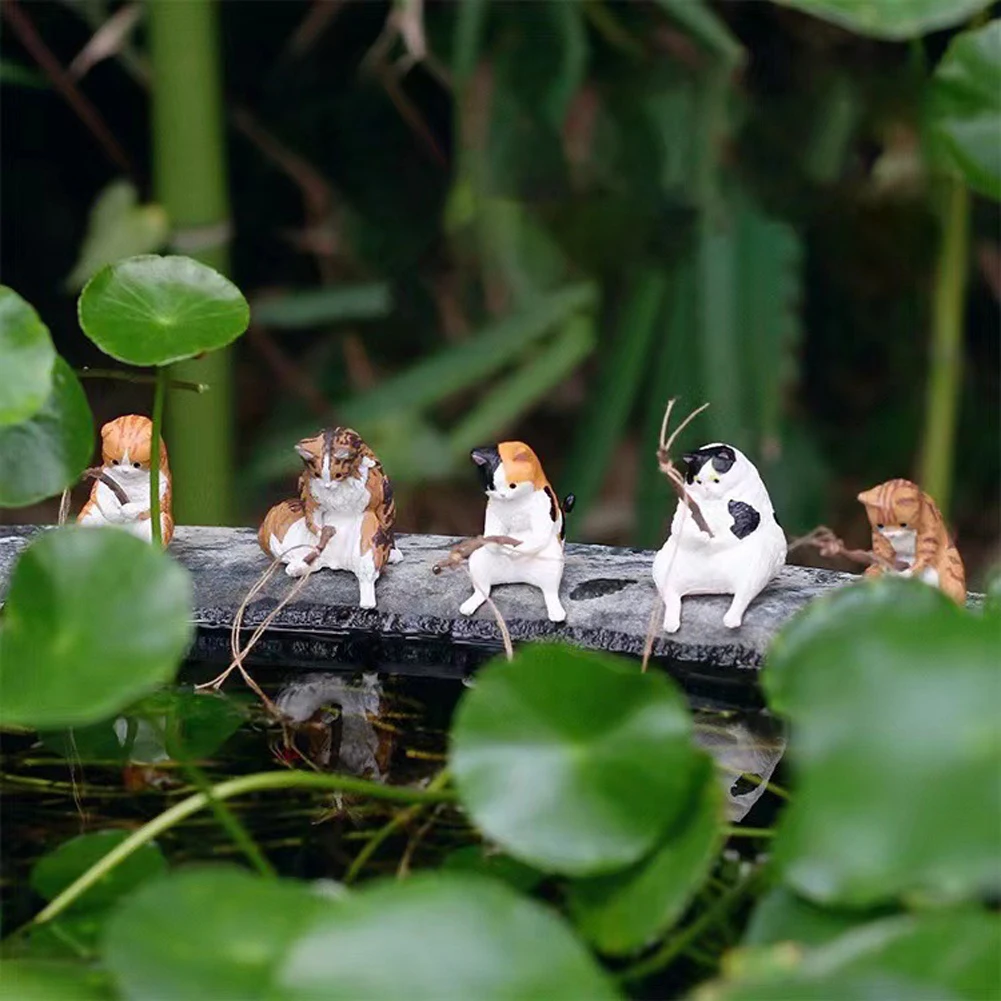 1-5PCS Fishing Cat Aquariums D - đánh giá và giá Aquarium Innovative Marine