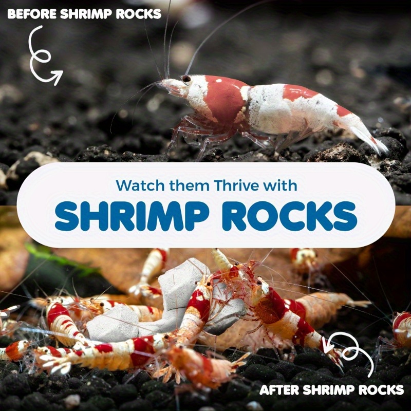 Grams of Shrimp Rock-Natural C - đánh giá và giá Marine Aquarium Gravel
