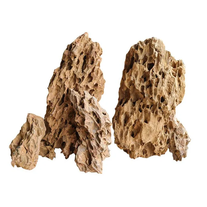 250g 500g 1000g Natural Aquari - đánh giá và giá Marine Aquarium Gravel