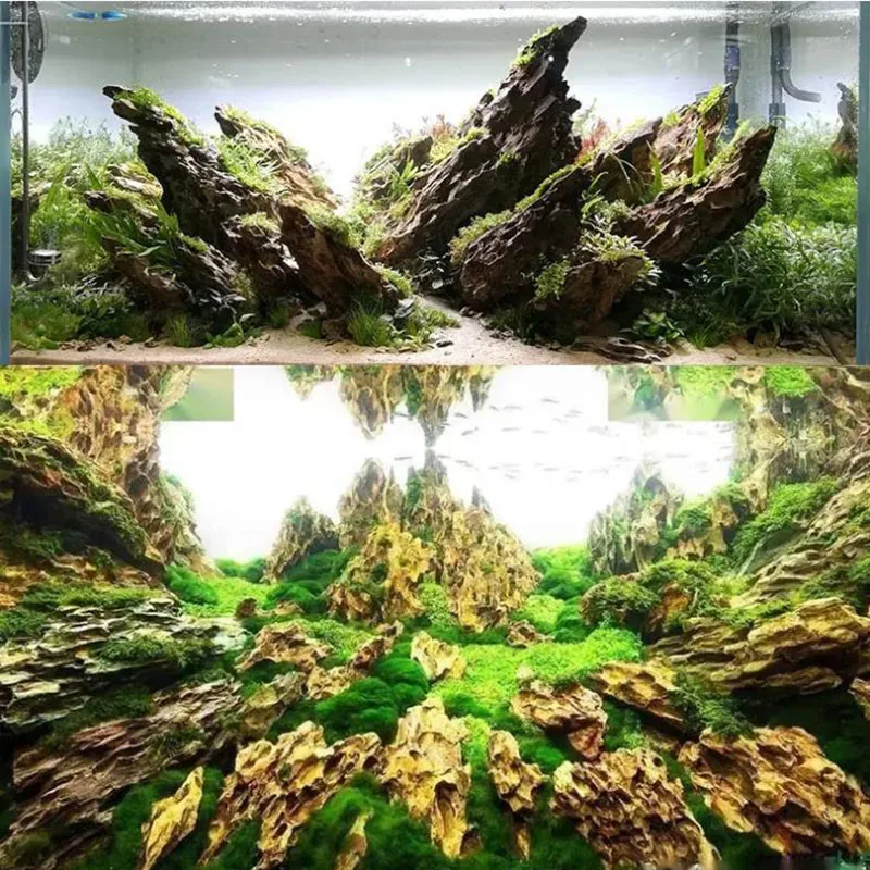 250g 500g 1000g Natural Aquari - đánh giá và giá Marine Aquarium Gravel