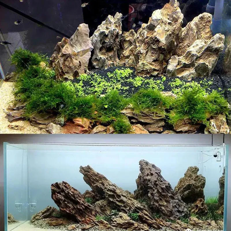 250g 500g 1000g Natural Aquari - đánh giá và giá Marine Aquarium Gravel