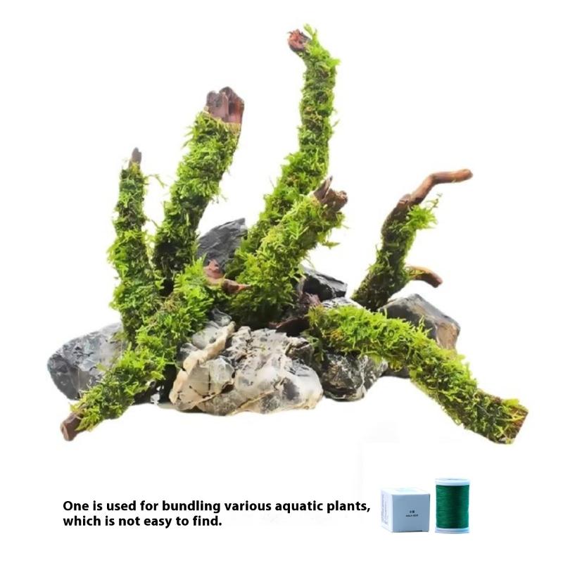 200M Naturally Degradable Moss - đánh giá và giá Aquarium Innovative Marine