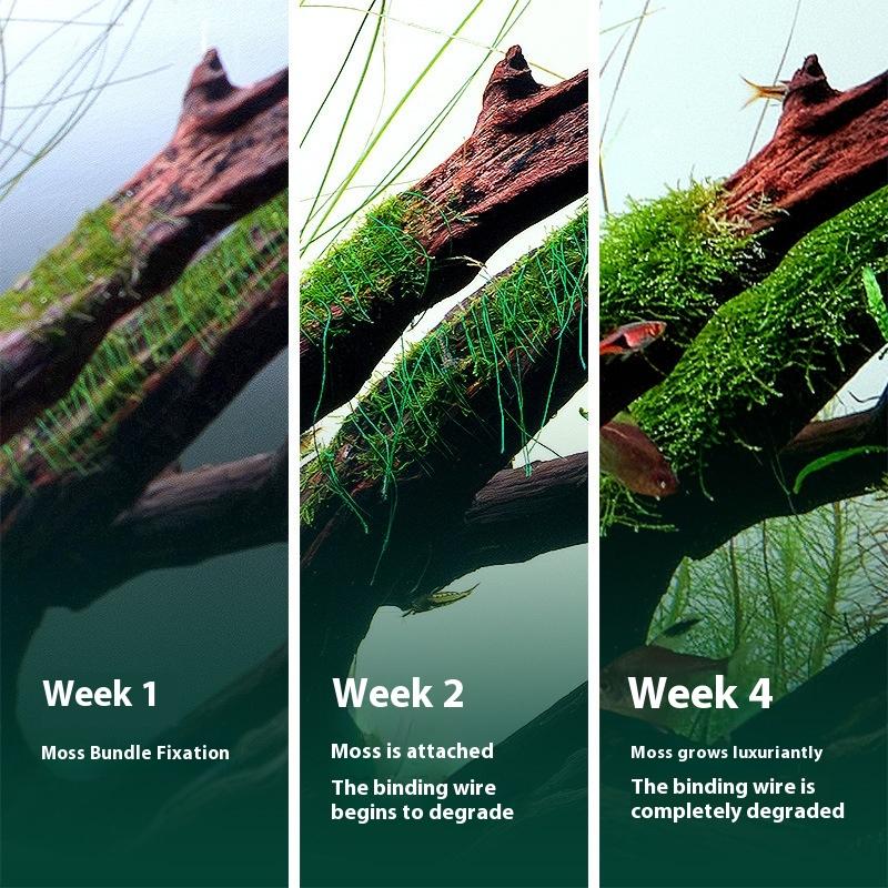 200M Naturally Degradable Moss - đánh giá và giá Aquarium Innovative Marine