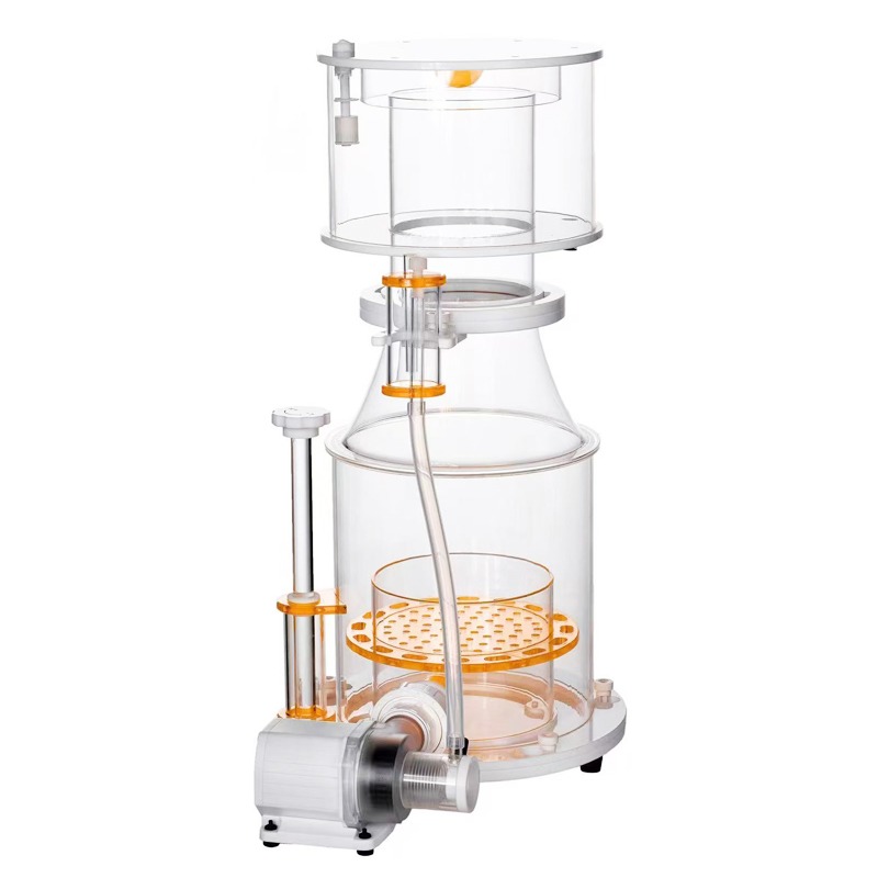 【Best-selling】DC Powered Preci - đánh giá và giá Aquarium & Marine Science Center
