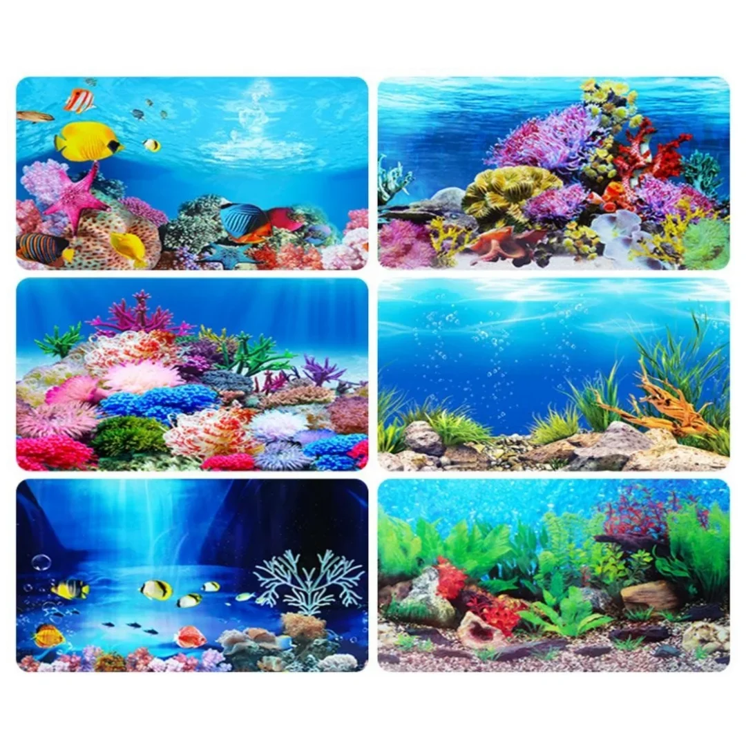Background Aquarium 3D Sticker - đánh giá và giá Aquarium Innovative Marine