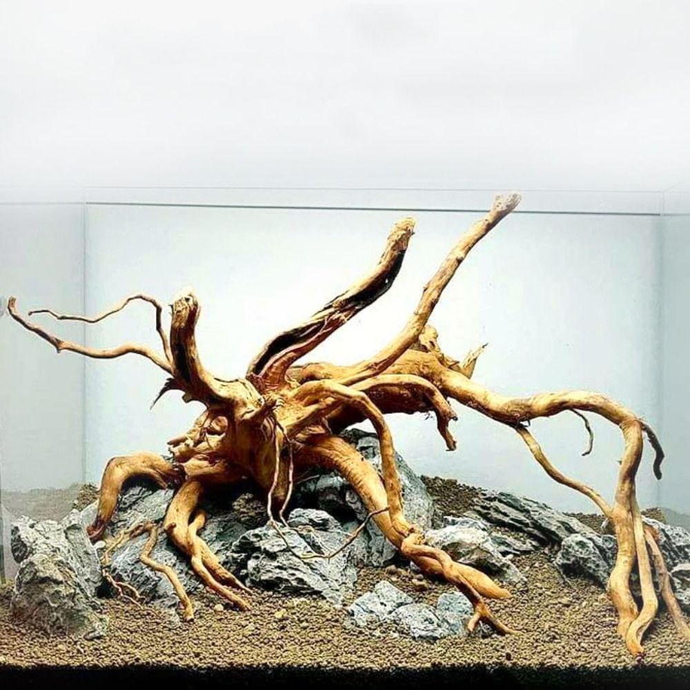 Natural Tree Trunk Aquarium De - đánh giá và giá Marine Aquarium Gravel