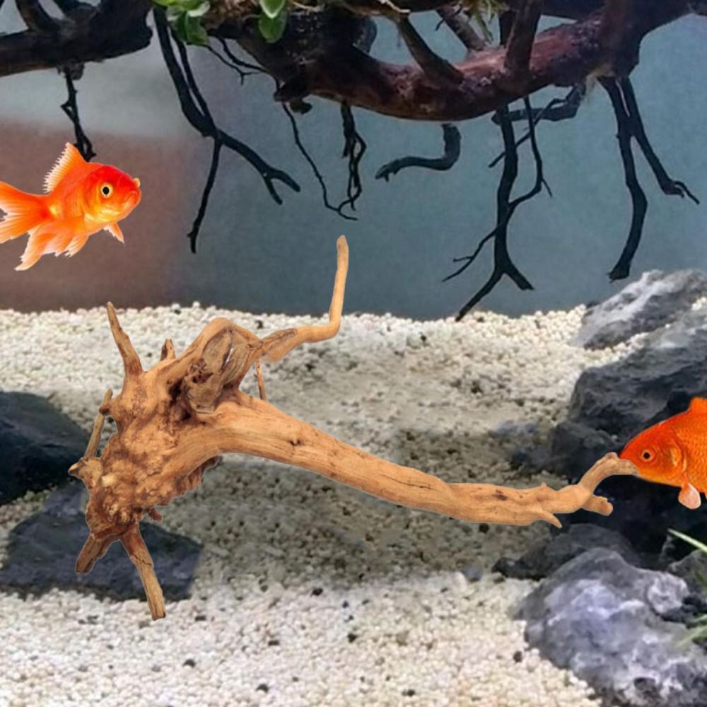 Natural Tree Trunk Aquarium De - đánh giá và giá Marine Aquarium Gravel