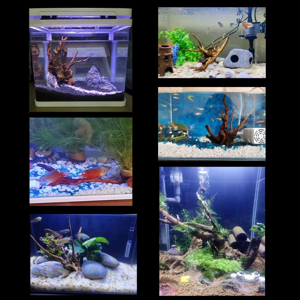 Natural Tree Trunk Aquarium De - đánh giá và giá Marine Aquarium Gravel