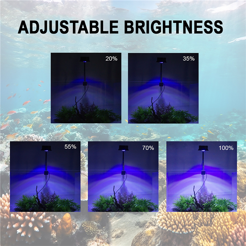30W Aquarium Fish Tank Sea Wat - đánh giá và giá Aquarium Marine Fishes