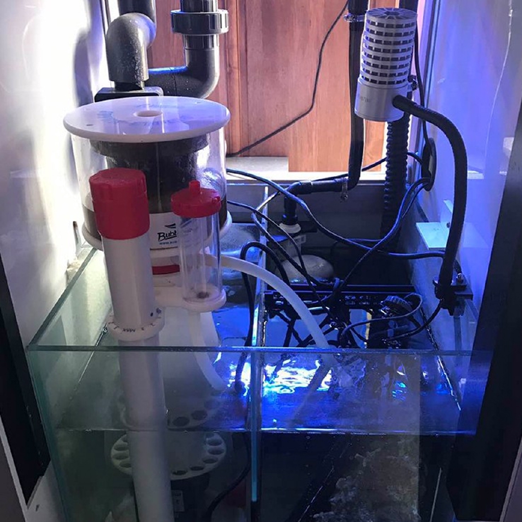 220V Bubble Magus Curve5 Aquar - đánh giá và giá Marine Aquarium Protein Skimmer
