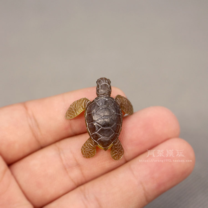 Marine Life Sea Turtle Model O - đánh giá và giá Marine Aquarium Japan