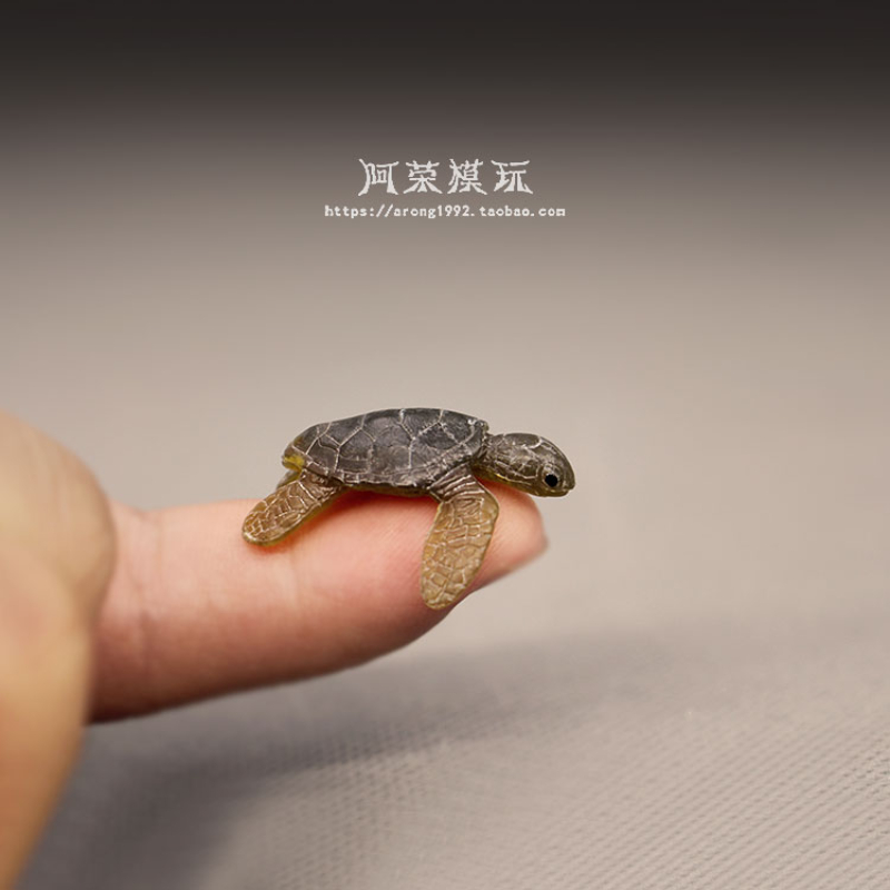Marine Life Sea Turtle Model O - đánh giá và giá Marine Aquarium Japan
