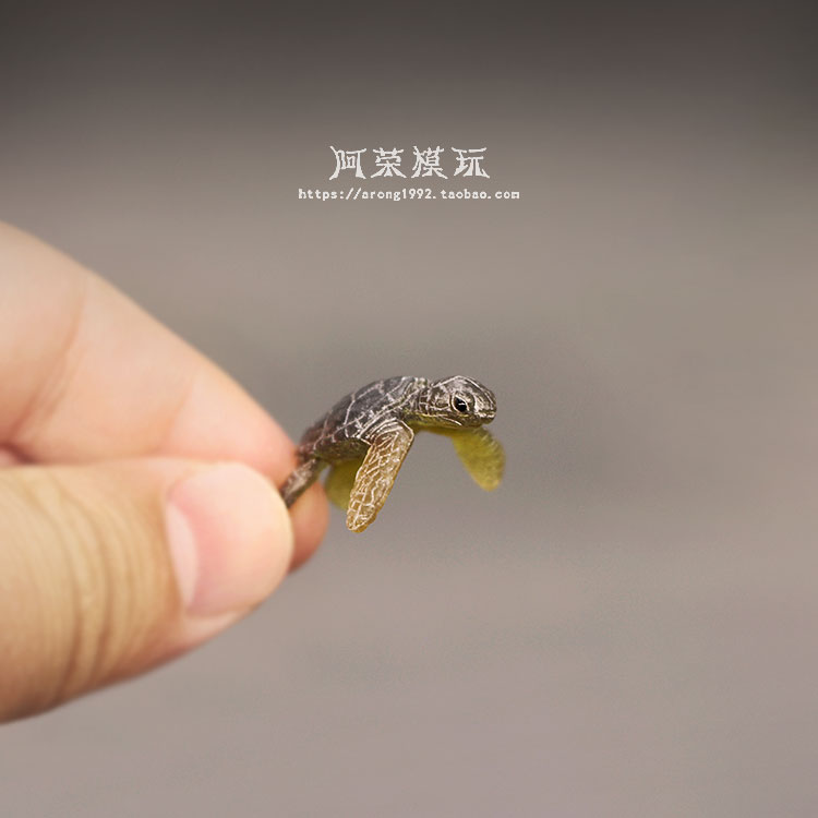 Marine Life Sea Turtle Model O - đánh giá và giá Marine Aquarium Japan