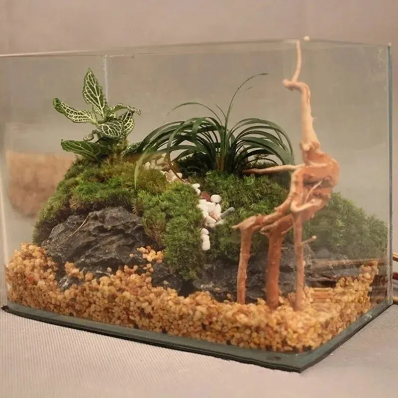 Natural Driftwood Cuckoo Roots - đánh giá và giá Marine Aquarium Gravel