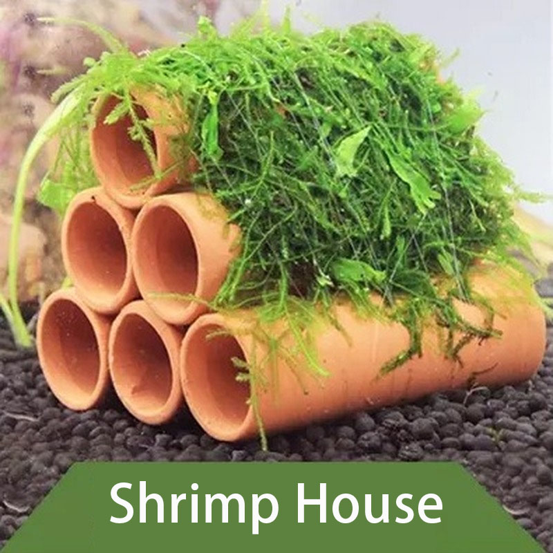 Clay Aquarium Decoration Fish  - đánh giá và giá Aquarium Innovative Marine