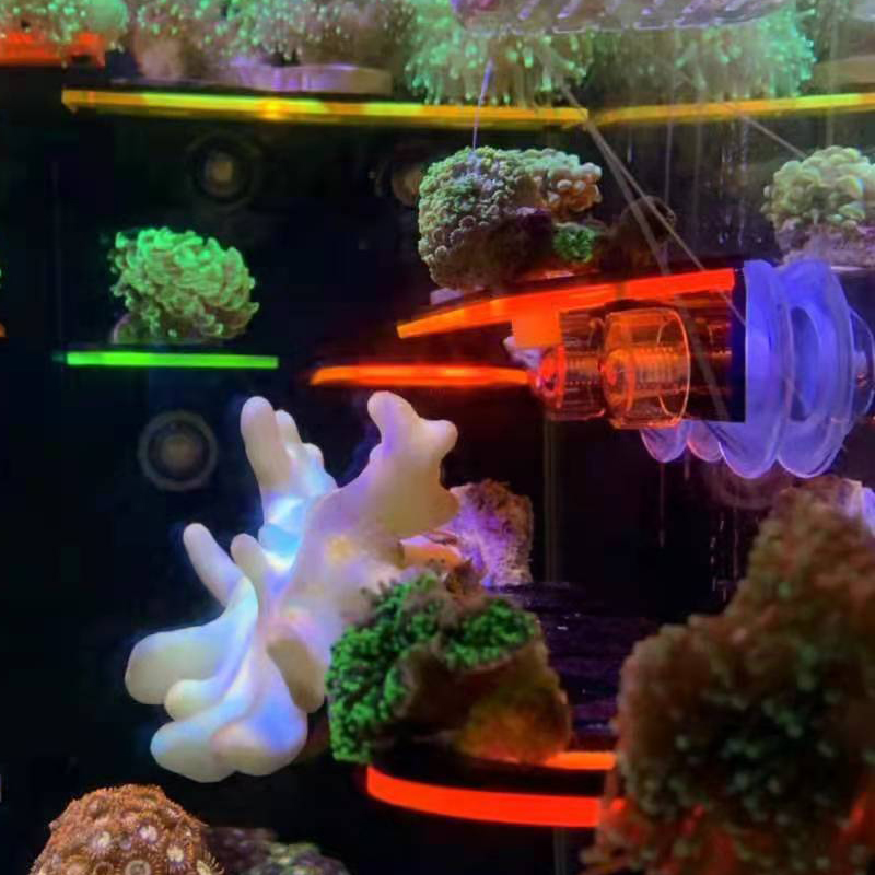 Aquarium Acrylic Fluorescent C - đánh giá và giá Aquarium Marine Fishes