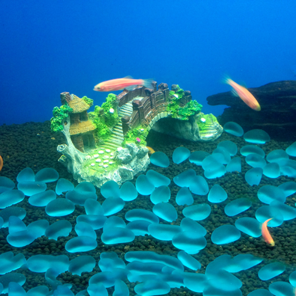 Aquarium Accessories Arbor Tre - đánh giá và giá Aquarium Innovative Marine