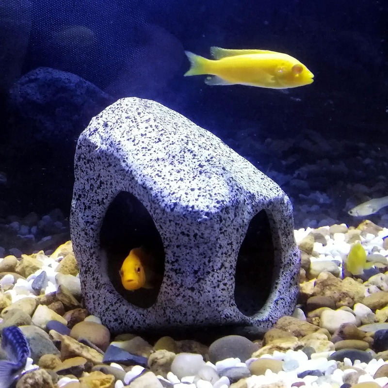 Fish Tank Cave Stone Landscapi - đánh giá và giá Aquarium Innovative Marine
