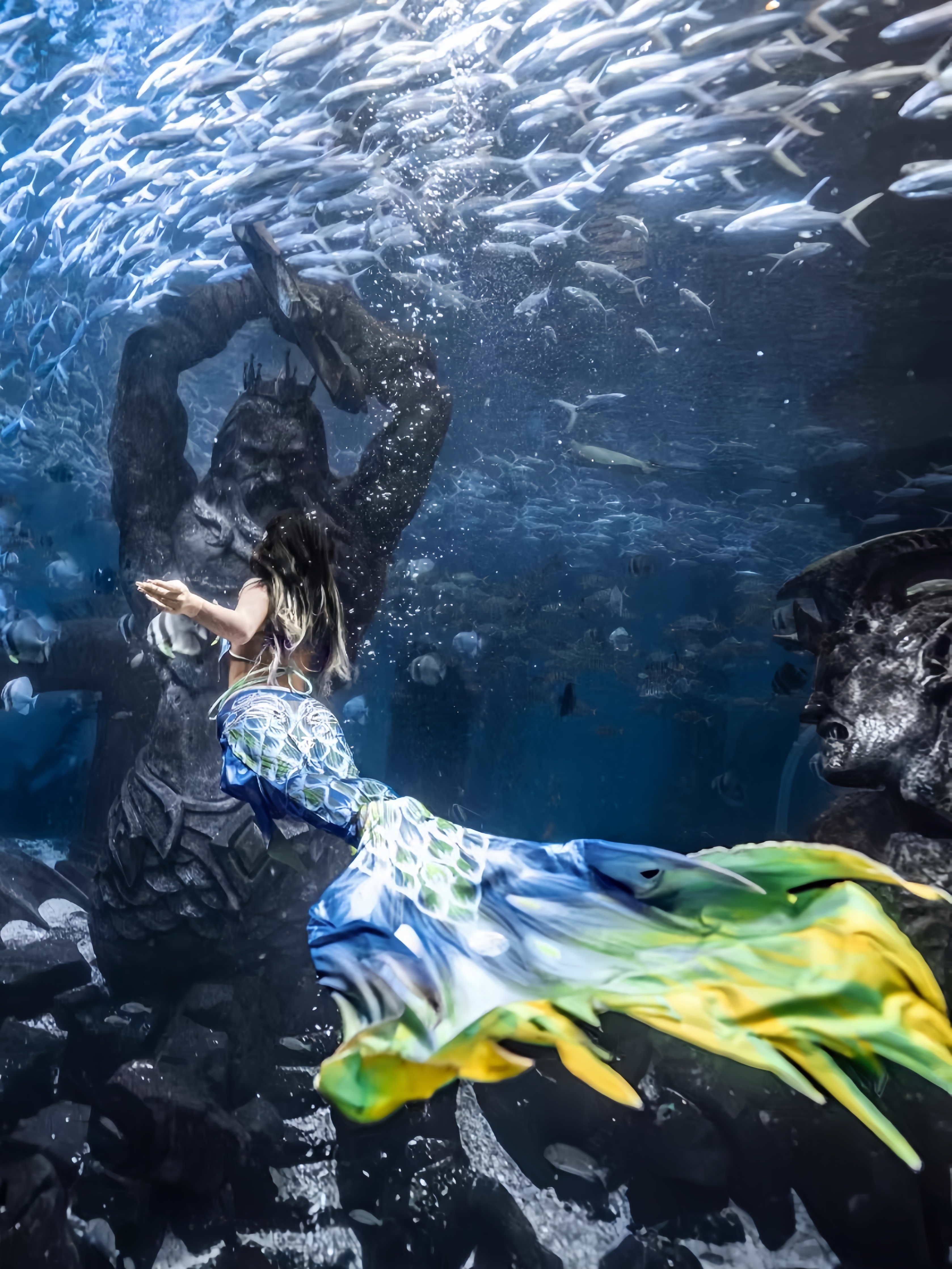 Mermaid Tail Adult Ladies Swim - đánh giá và giá Aquarium & Marine Science Center