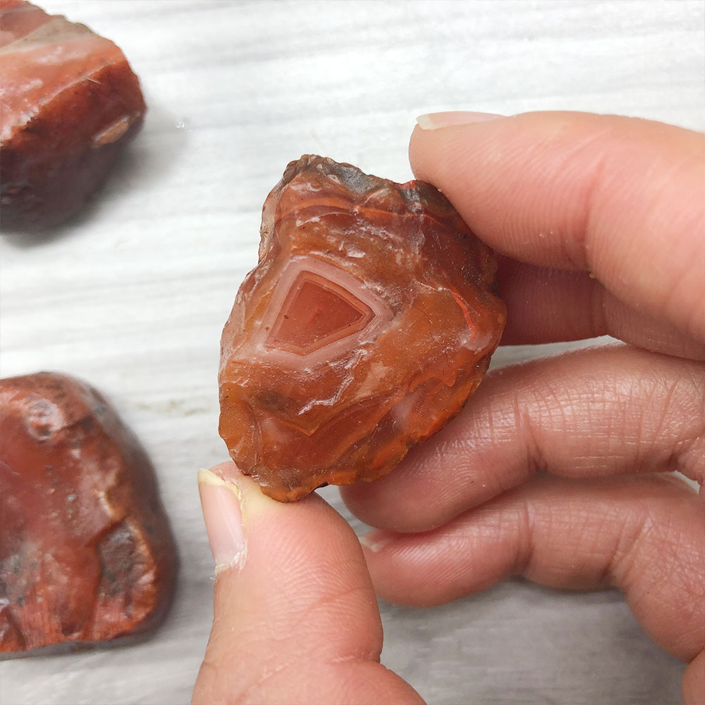 1pc Random Rough Raw Carnelian - đánh giá và giá Aquarium Innovative Marine