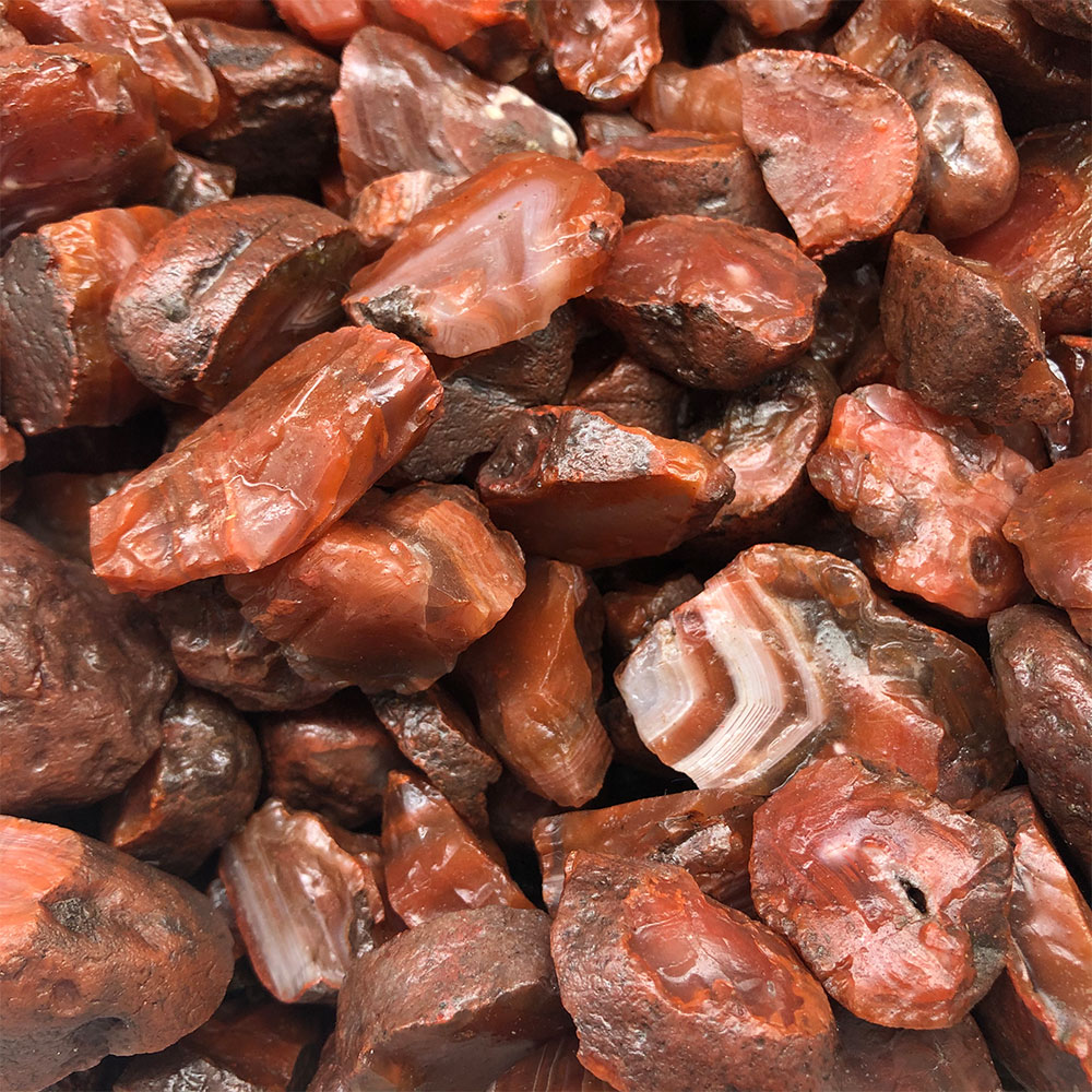 1pc Random Rough Raw Carnelian - đánh giá và giá Aquarium Innovative Marine