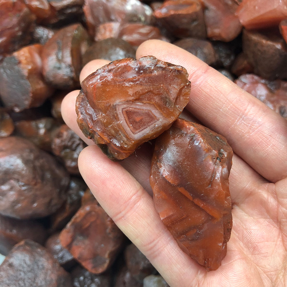 1pc Random Rough Raw Carnelian - đánh giá và giá Aquarium Innovative Marine