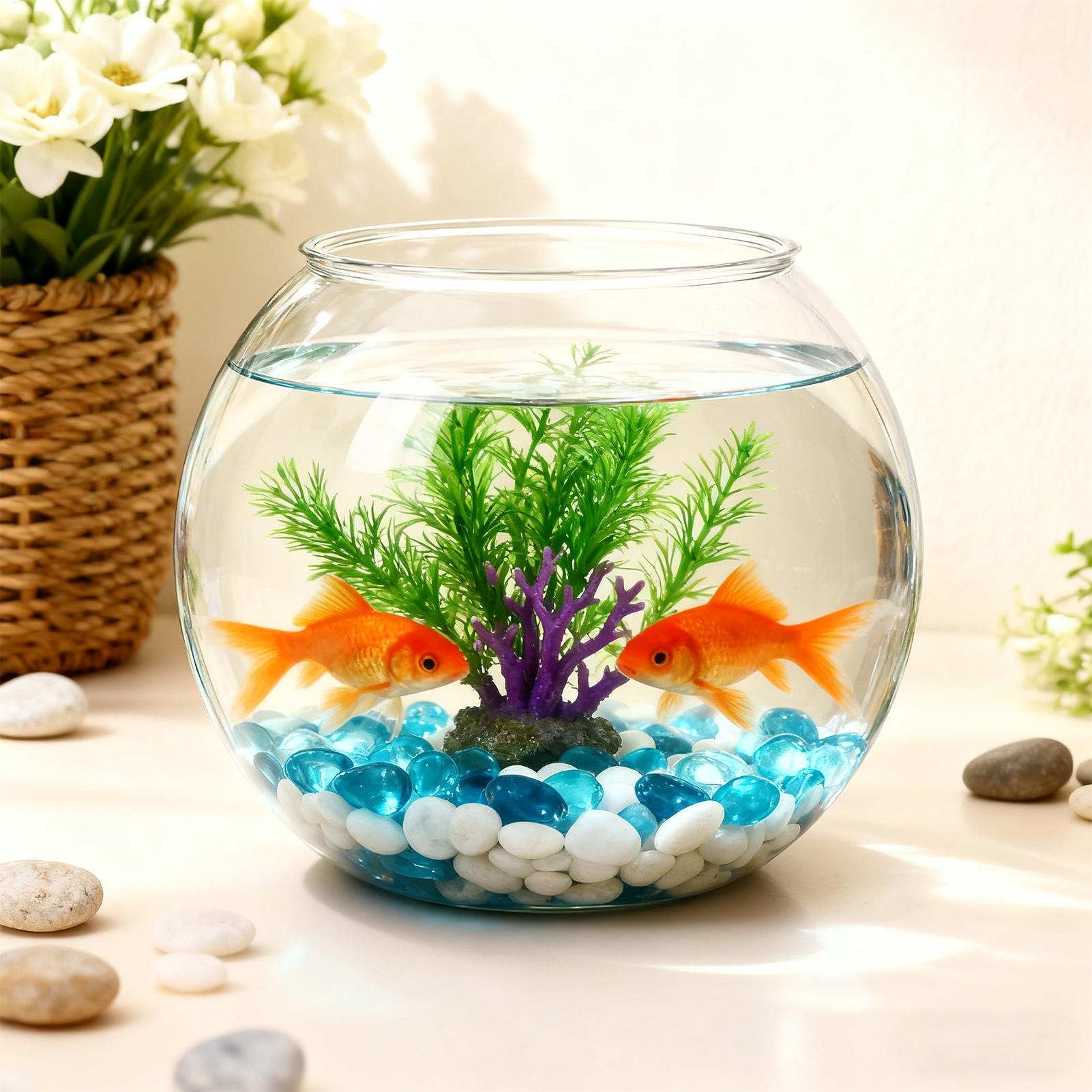 Bubble Bowl Space-Saving Aquar - đánh giá và giá Aquarium Innovative Marine