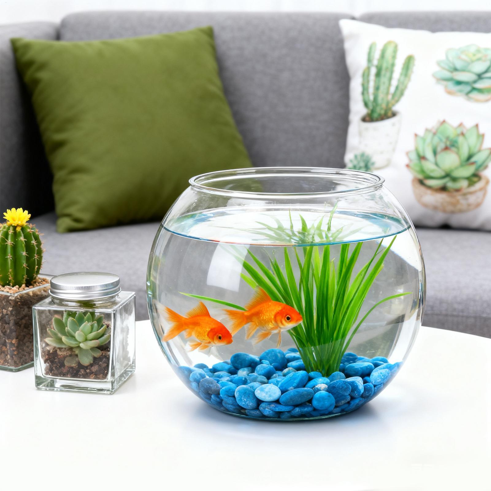 Bubble Bowl Space-Saving Aquar - đánh giá và giá Aquarium Innovative Marine