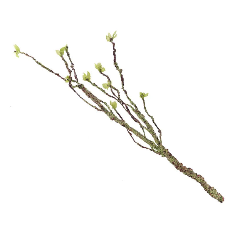 Vines Decor Climbing Branches  - đánh giá và giá Aquarium Innovative Marine