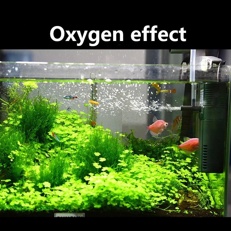 SUNSUN mini nano 111B 311B 611 - đánh giá và giá Marine Aquarium Chiller
